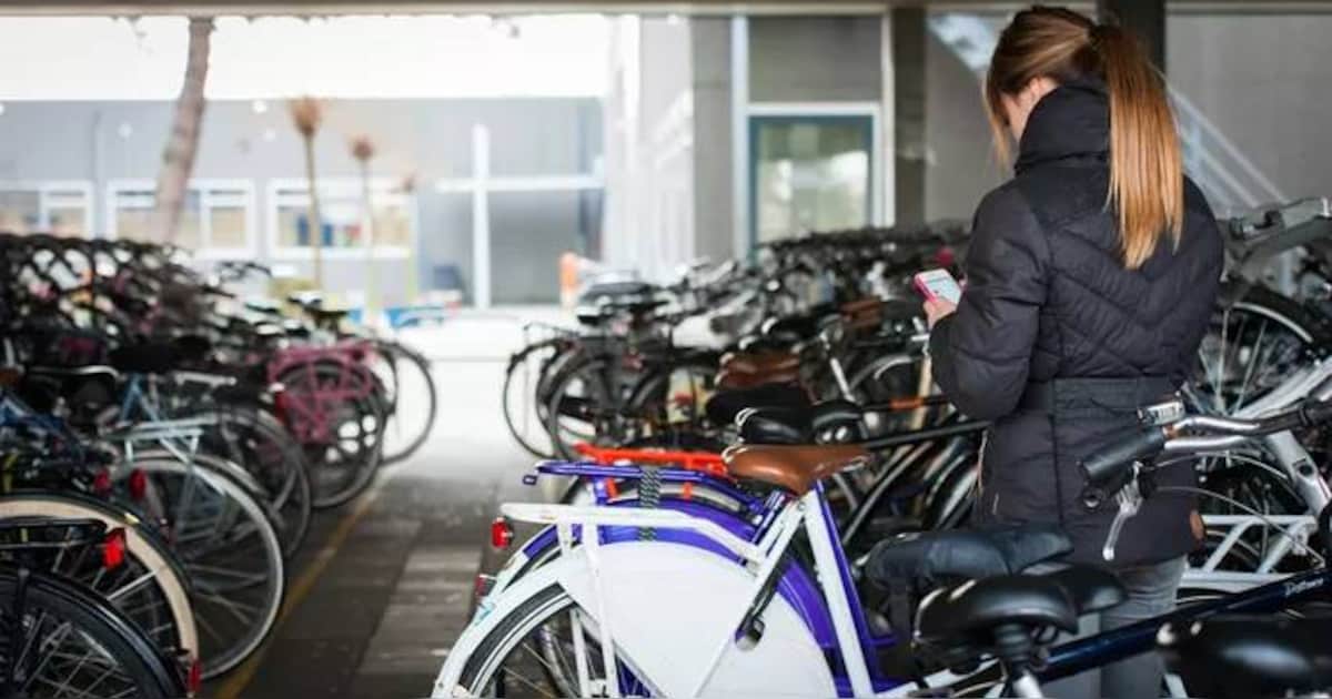 Man (20) zou meisje (15) hebben verkracht op schoolplein: OM eist jarenlange celstraf