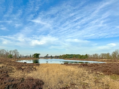 Lattropse agrariërs krijgen ongelijk van Raad van State, werk in natuurgebied Bergvennen kan verder