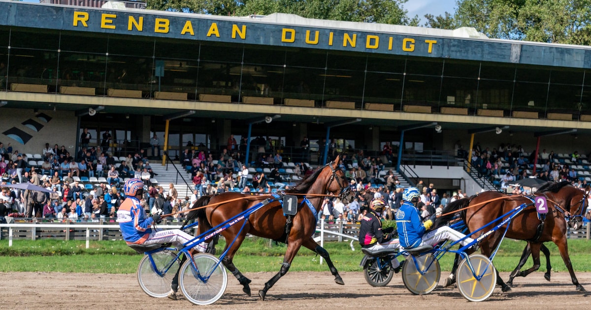 Waar hopen Wassenaarders op in het nog verse jaar?
