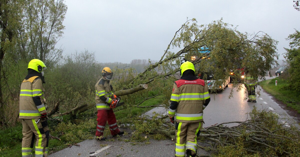 Brandweer Ubbergen vroeg uit de veren voor omgewaaide boom in Erlecom