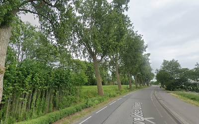 Grootscheepse bomenkap in Zegveld pal voor kerst uitgesteld, weg hoeft (nog) niet dicht