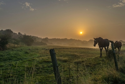 Hemelvaartsdag 2026: dit is er te doen in Ede