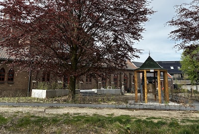 Image related to the article