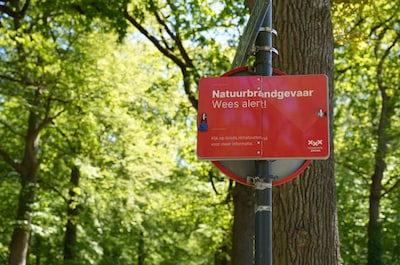 Image related to the article