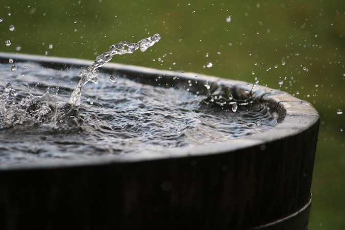 Voorkom een droge tuin: zo maak je optimaal gebruik van regenwater ...