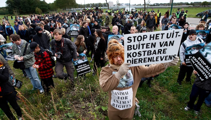 Science and Innovation in the Netherlands: From Leiden to Amsterdam