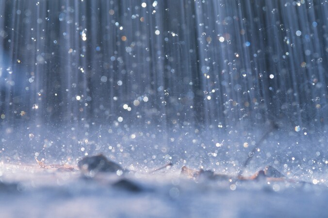 Venlo biedt subsidie voor regenwaterafkoppeling | Regio | AD.nl