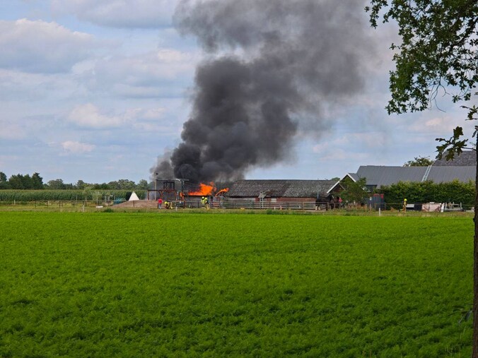 Zwarte pluimen en flinke vlammen bij brand in Halle; koeien staan even ...