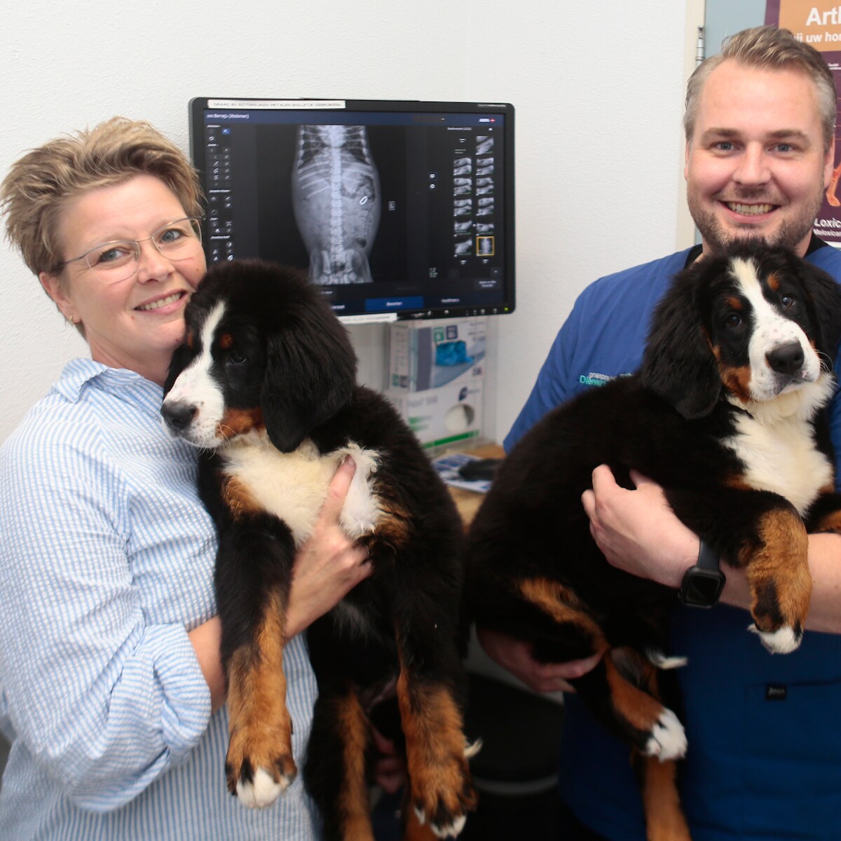 選定された行進　Anointed Procession 犬猫　SLD Dierenarts kijkt vreemd op wanneer fokster met 17 puppy's