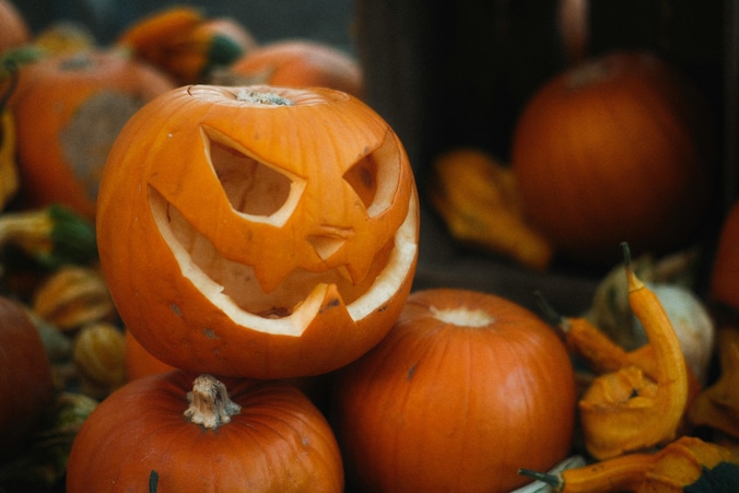 Halloweenconcert met Fanfare De Echo in Hout-Blerick | Regio | AD.nl