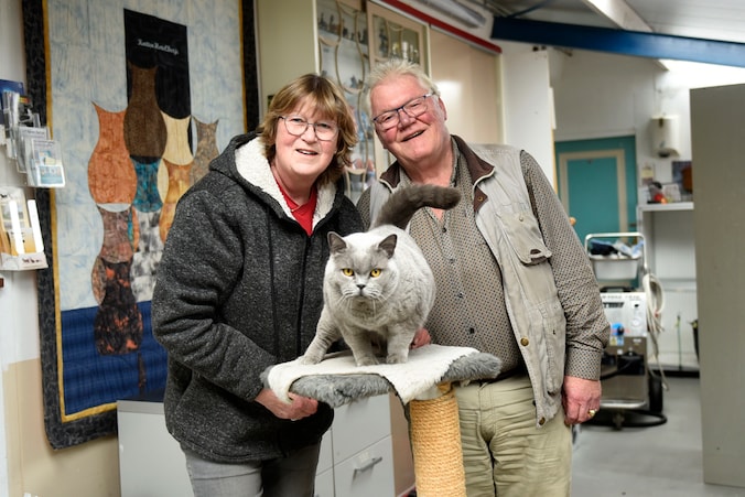 Kattenhotel werd voor 500.000 euro opgelicht, nu krabbelen Gijs en ...
