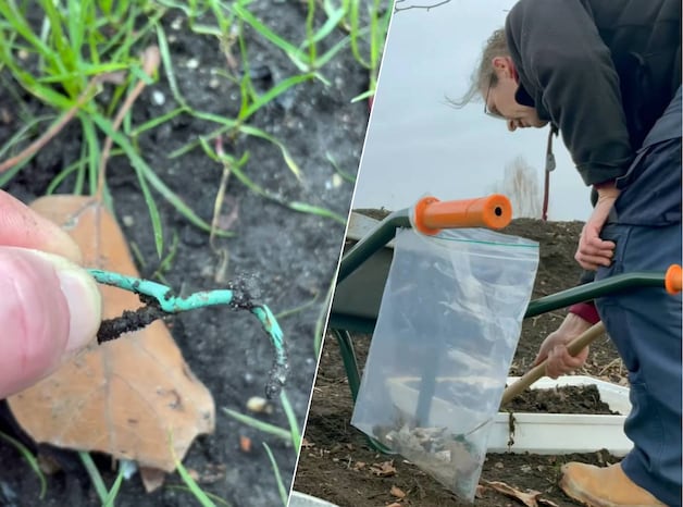 Ewoud start zelf onderzoek als hij plastic op stadswal ziet liggen: ‘Ik ...