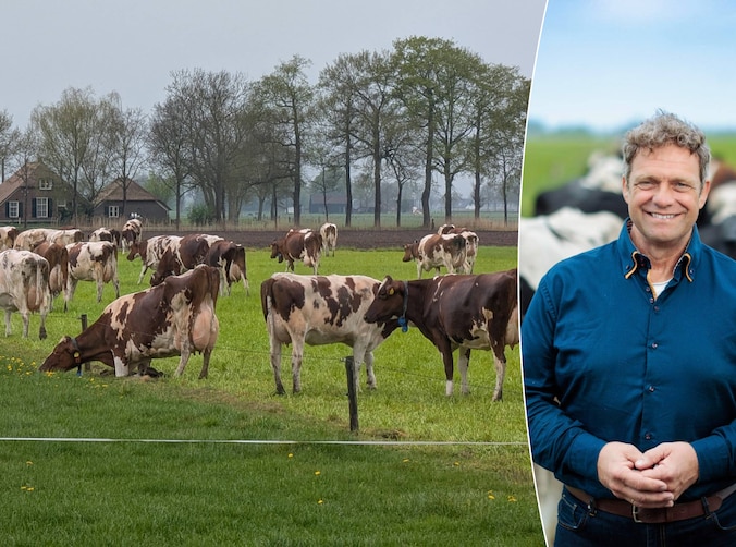 Rabobank: Nog jaren stilstand? Dat brengt heel veel boeren in de ...