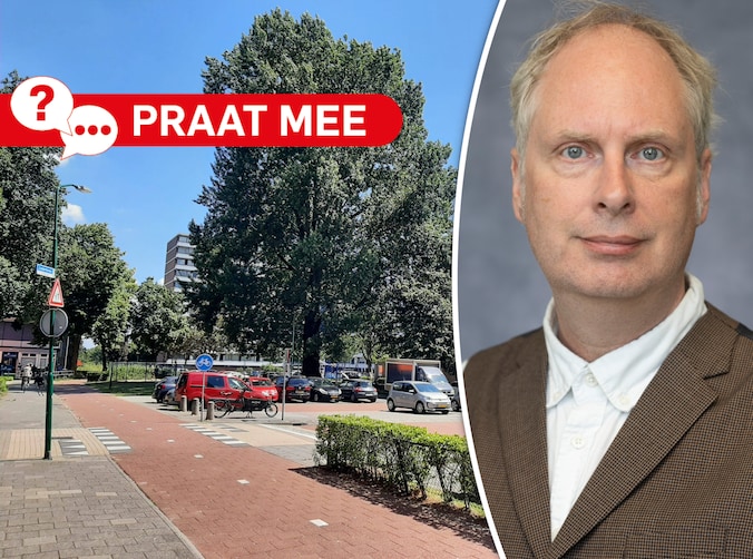 Praat mee: moet de imposante zwarte populier van Veenendaal behouden ...