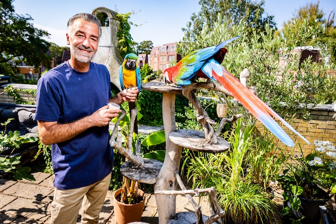 Zijn winkel verkocht 1000 papegaaien per jaar, maar eigenaar Dirk-Jan ...