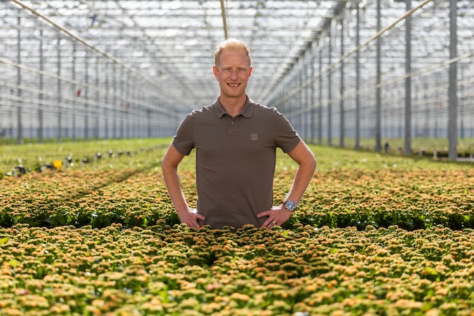 Duurzaamheid is geen vaag begrip bij plantenkwekerij Vilosa: ‘Wij ...