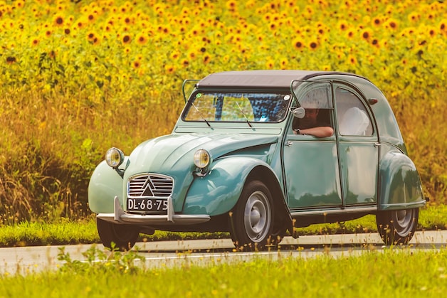 Nieuwe Lelijke Eend vandaag gepresenteerd en dit is wat onze auto ...