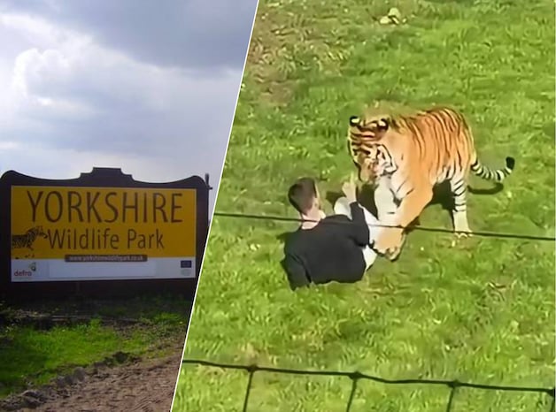 het-incident-speelde-zich-af-in-een-britse-dierentuin