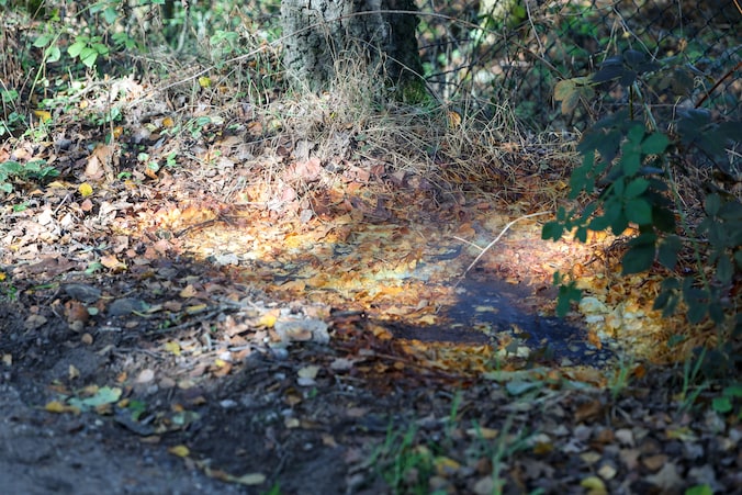 Nepdrugsafval duikt op in buitengebied van Horst aan de Maas | Regio ...