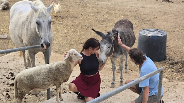 Ilona (45) liet Nederland achter zich voor haar droom en werd boerin in ...