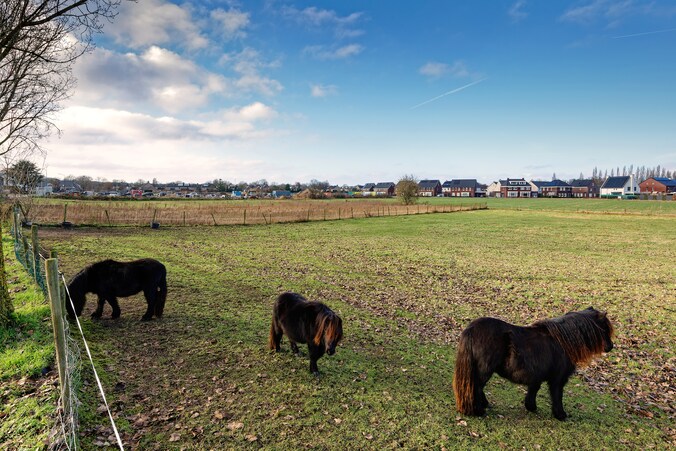 Parochie De Goede Herder wil geen luxe woningen op strook grond en ...
