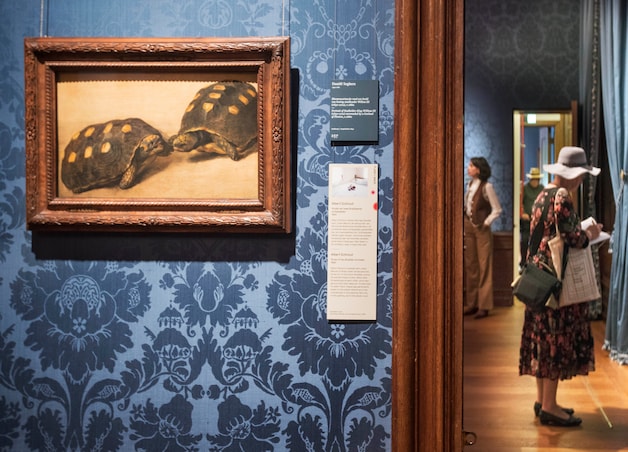 Tussen al die beroemde, oude werken in Mauritshuis hangen nu foto’s ...