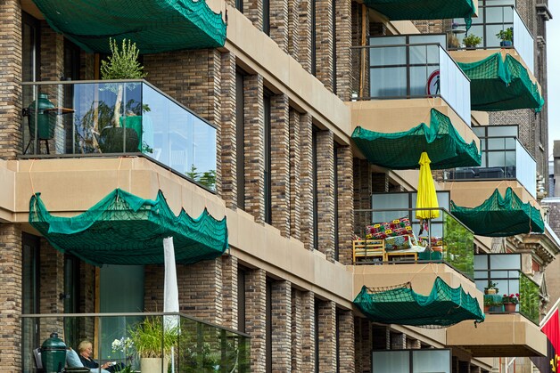 Dit zijn onze meest bijzondere verhalen van de afgelopen week | Regio ...
