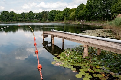 Ondiep zwemwater van Rauwbraken is weer veilig: ‘En daar ben ik heel blij mee’