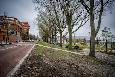 Vergeten Rotterdamse grond staat nog op naam van vrouw uit 1853, landelijke zoektocht van start
