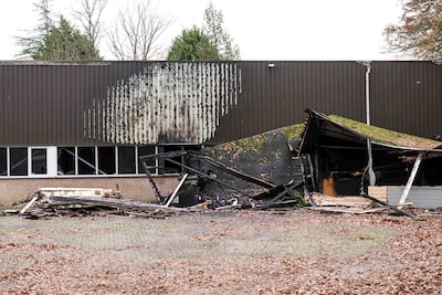 Image related to the article