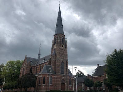 Image related to the article