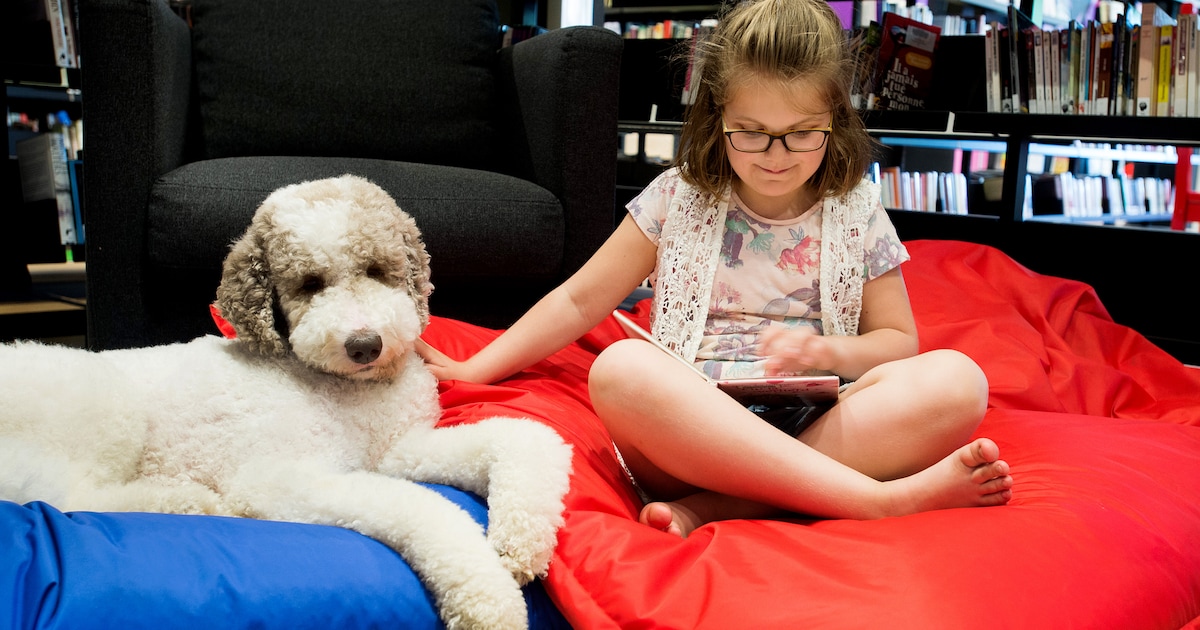 Voorleeshond Oscar komt naar Bibliotheek Heerhugowaard