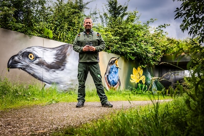 Deze vogelkijkhut was jarenlang een beetje eng, tot een zeearend en bever op de muur verschenen