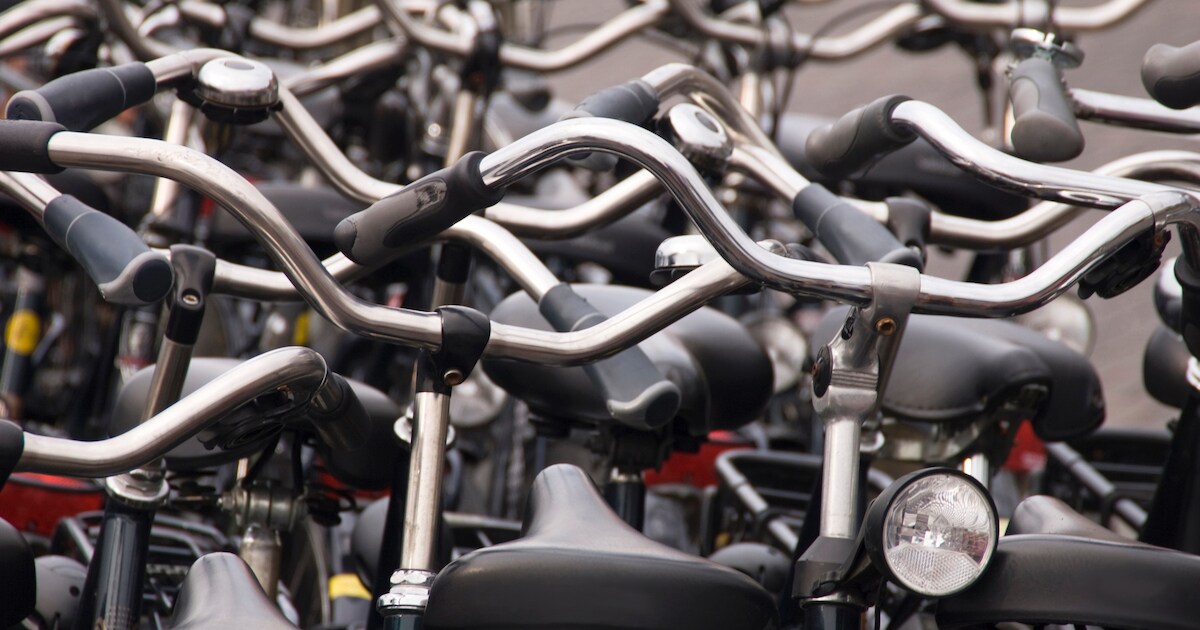 Fietsenkijkdag zaterdag 21 maart in Uden, gevonden fietsen te koop