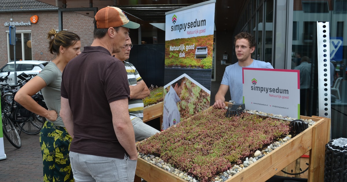 Duurzaamheidsmarkt Maasbracht biedt groene inspiratie