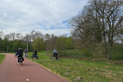 Image related to the article