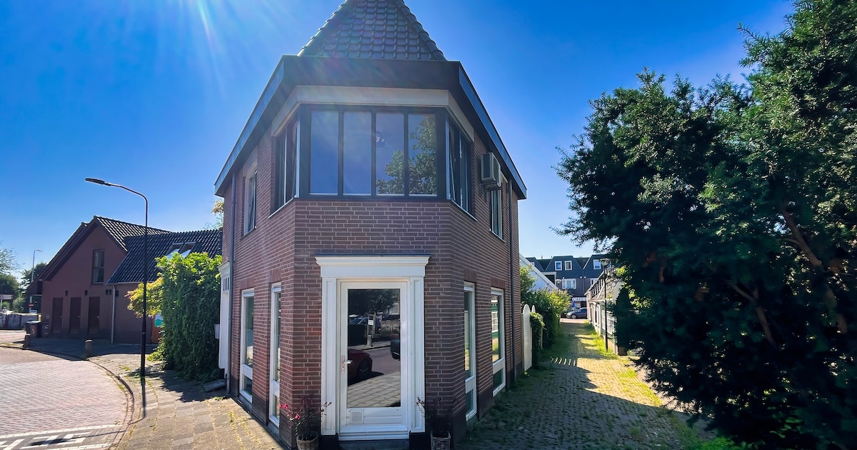 Vrijstaand huis met schuine hoeken op 53 vierkante meter tussen weg en steeg in Wilnis