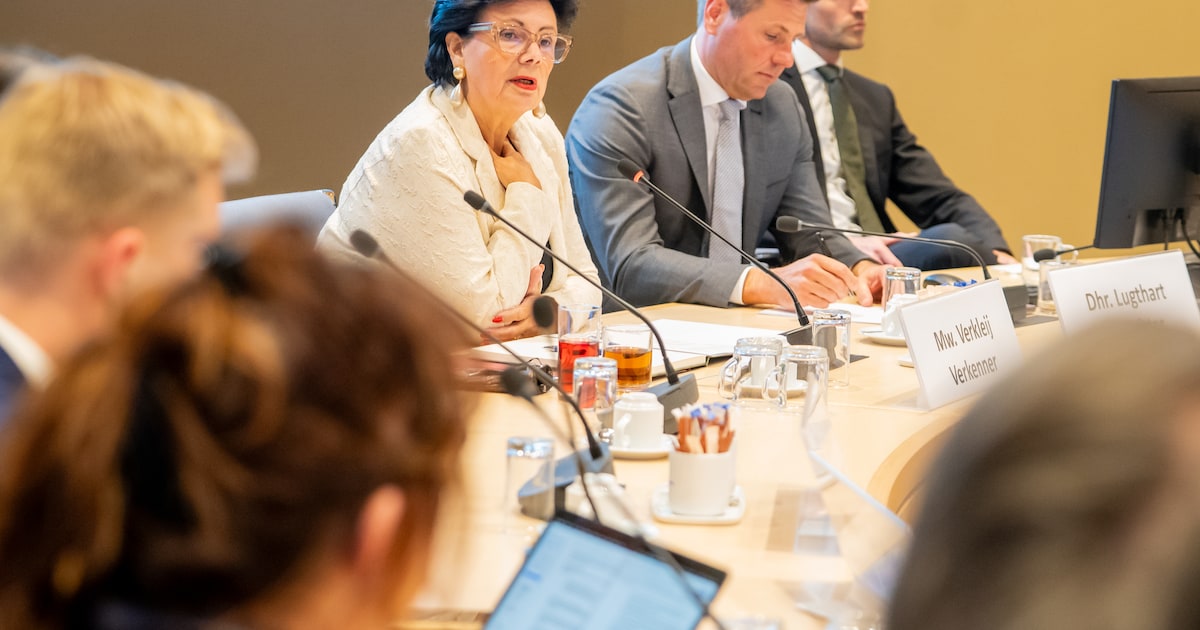 Een coalitie met links, midden, rechts zónder D66: dit is wat verkenner Wendy Verkleij adviseert