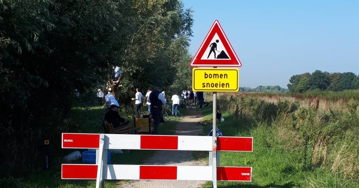 Politie gaat af op studenten die bomen snoeien op Abtswoude