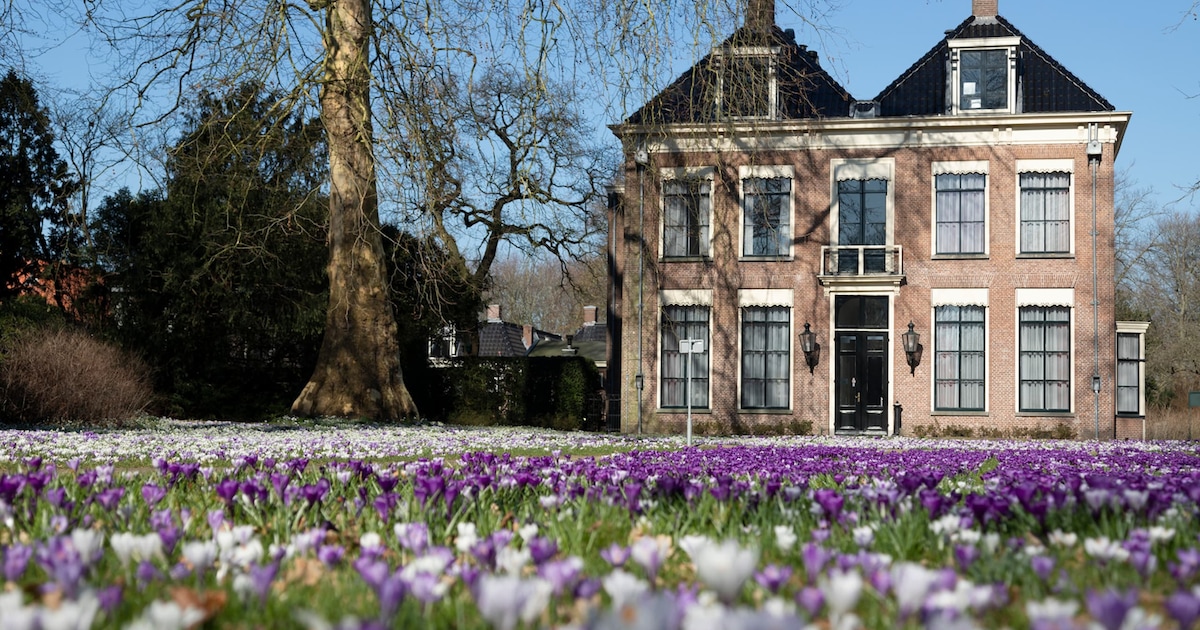 Gemeente Opsterland waarschuwt voor modder op de weg tijdens oogsttijd