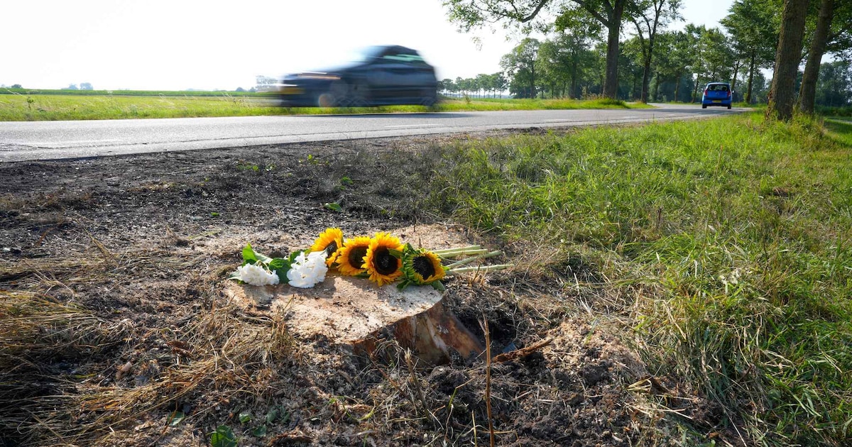 Dodelijk ongeluk op N983 bij Den Ham zorgt voor diepe verslagenheid: ‘Deze bocht blijft verraderlijk