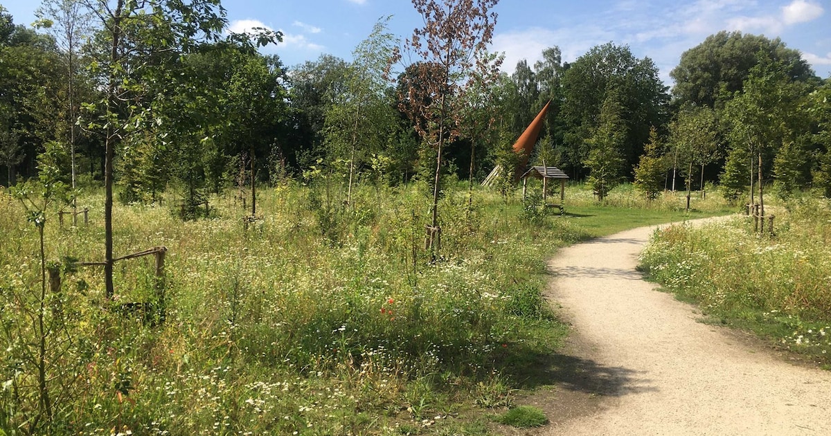 1000 soortendag in Stadspark Elisabeth Groen in Amersfoort