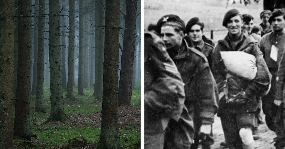 Onderduikers in bossen bij toeval ontdekt door jagende SS’ers: een ontmoeting die desastreus eindigd