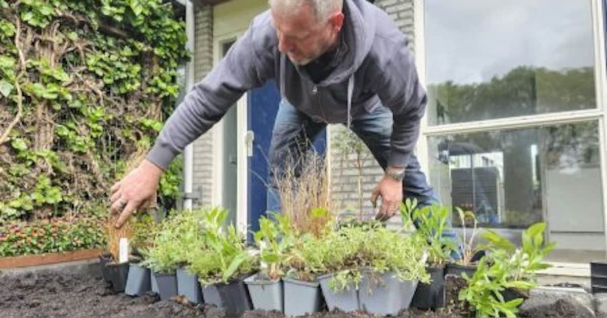 Meer dan 200 voortuinen vergroend in Alphen, honderden extra vierkante meters groen vrijgekomen