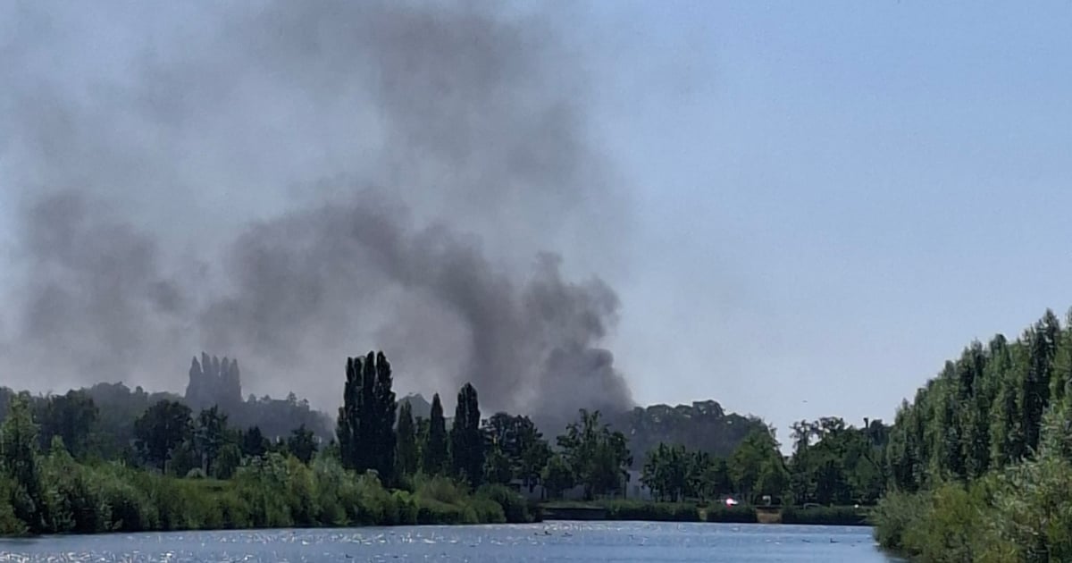 Berg puin vat vlam in achtertuin in Breda: brandweer moet hond uit huis halen, rook is van ver te zi