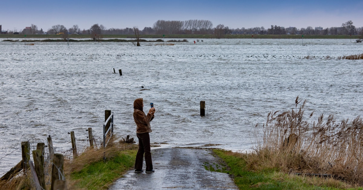Deze plekken langs de IJssel zijn in beeld voor extra opvang van hoogwater | Foto