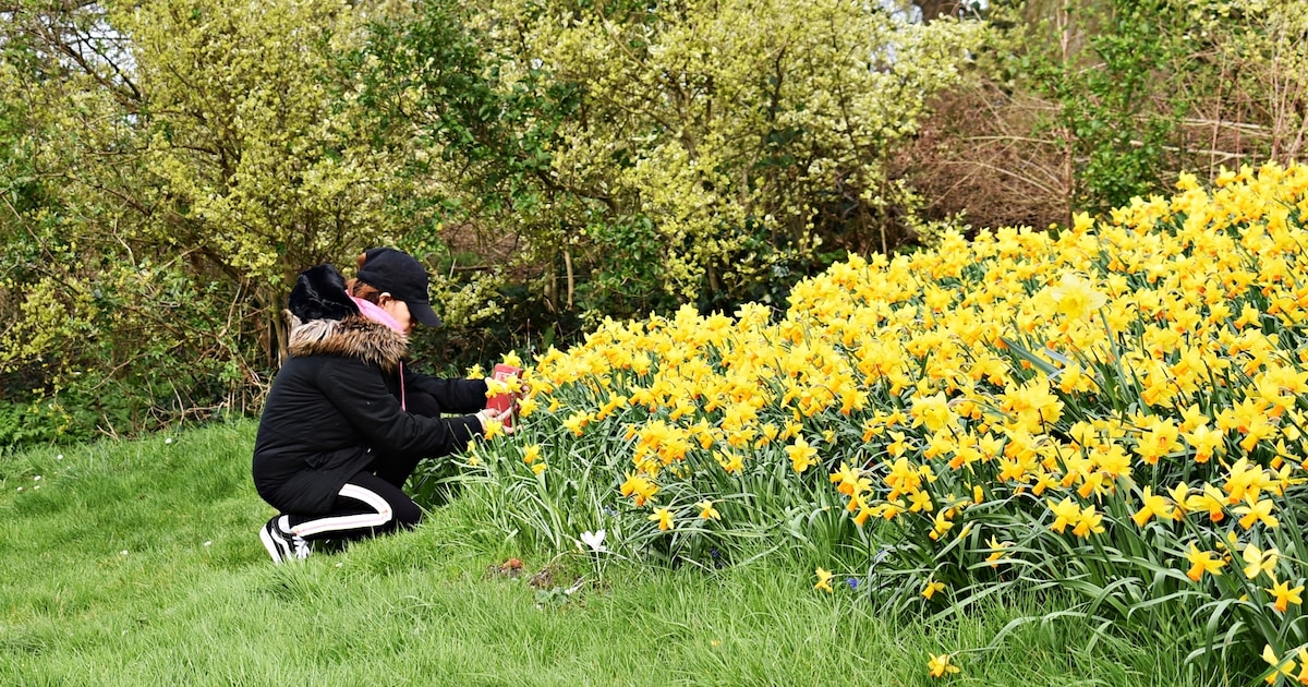 Korte broek of winterjas: dit is de weersverwachting voor de Leidse lente
