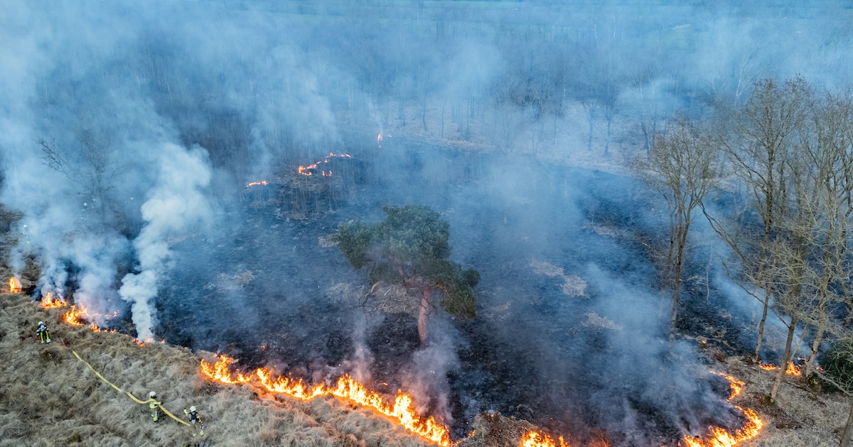 Brandweer bestrijdt natuurbrand in Feankleaster | 112 nieuws Noardeast-Fryslân