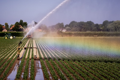 Praat mee: weer een hittegolf op komst, kun jij van de warmte genieten of maak je je zorgen over de droogte in Nederland?
