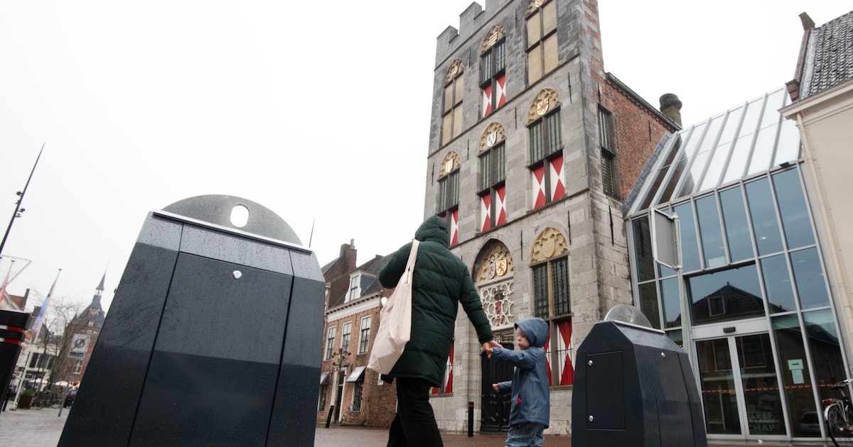 Gemeenteraad stemt in: Stedelijk Museum Vianen en bibliotheek verhuizen naar stadhuis